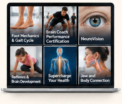 A laptop showing the six Course Pack courses: Foot Mechanics and Gait Cycle, Brain Coach Performance Certification, NeuroVision, Reflexes and Brain Development, Supercharge Your Health, Jaw and Body Connection