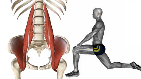 Top 5 Hip Flexor Exercises for Improved Flexibility and Strength