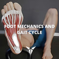 Foot Mechanics and Gait Cycle - Shop - Posturepro  