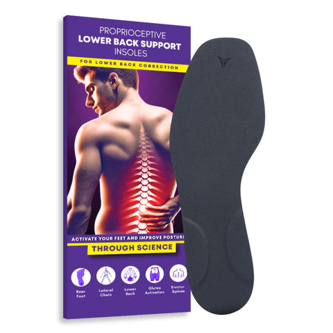 Lower Back Support - Shop - Posturepro  