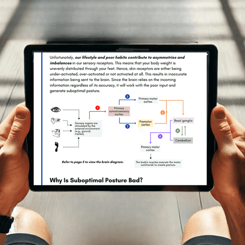 Postureprint Posturepro Method | Posturepro – Posturepro