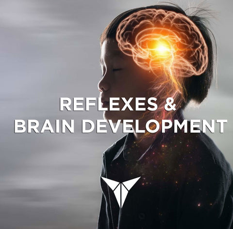 Reflexes & Brain Development - Shop - Posturepro  