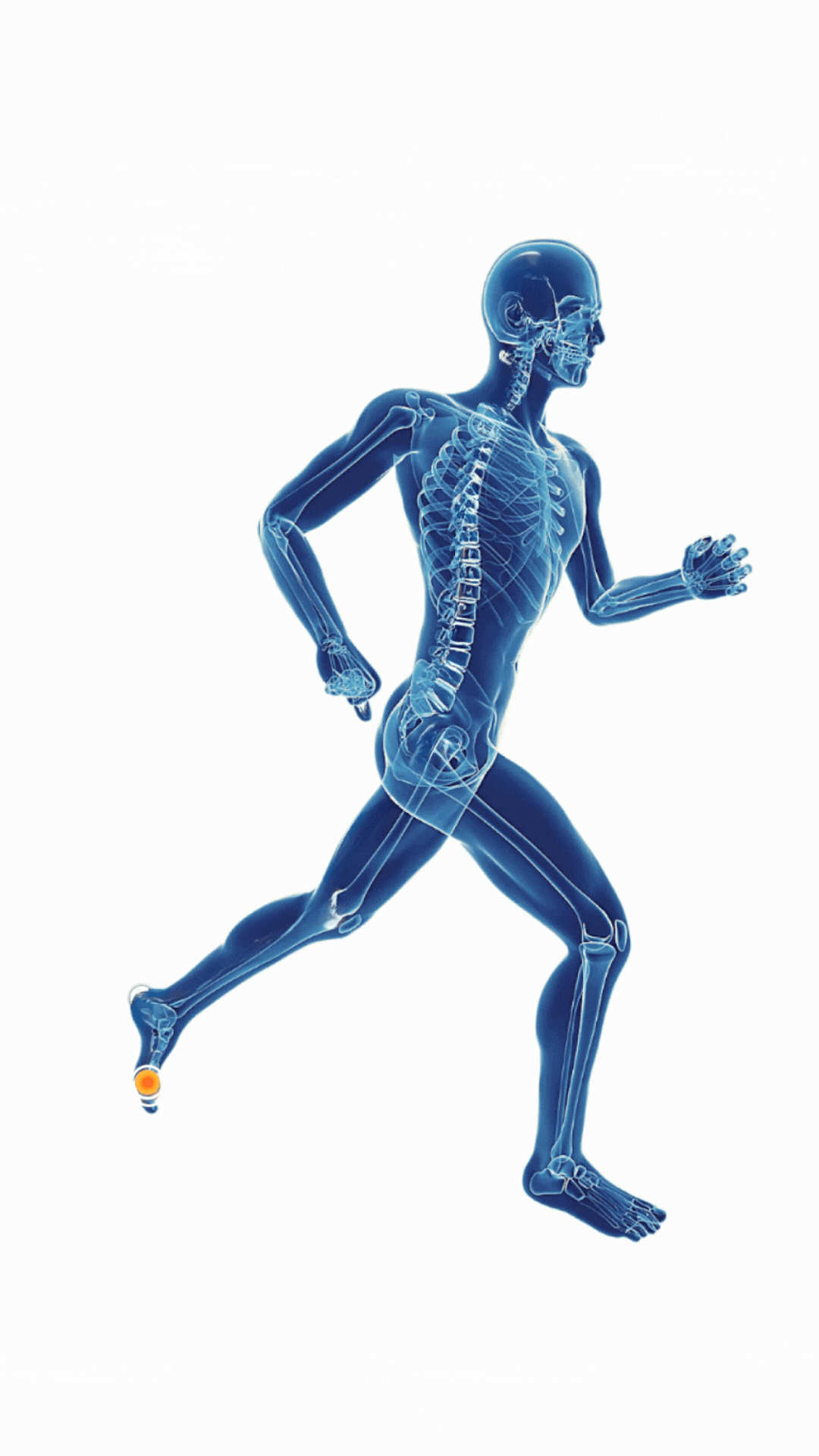 Postural Balance Animation Posturepro | Advanced Posture Solutions for Better Health – Posturepro