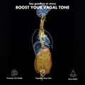 Vagal Activator: Ultimate Relaxation & Stress Reduction - Shop - Posturepro  