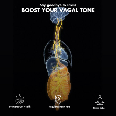 Vagal Activator: Ultimate Relaxation & Stress Reduction - Shop - Posturepro  