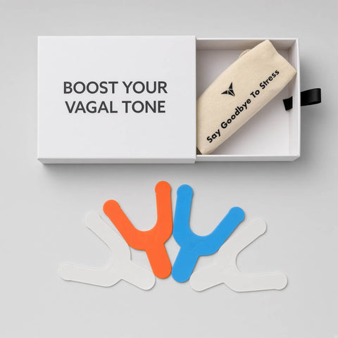 Fix My Posture Bundle