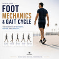 Posturepro Foot Mechanics and Gait Cycle online course on gait and posture, showing the five phases of the walking gait cycle