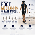 Posturepro Foot Mechanics and Gait Cycle course on foot posture and the gait cycle