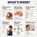 What's inside Posturepro NeuroVision: six lessons of a practical neuro visual training course on vision, balance and posture