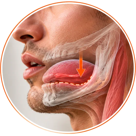 Close-up of a mouth, with the tongue shown resting low behind the lower teeth