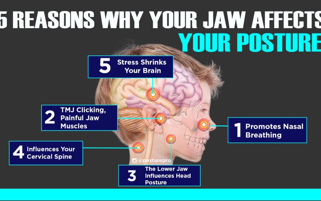 5 Reasons Why Your Jaw Affect Your Posture
