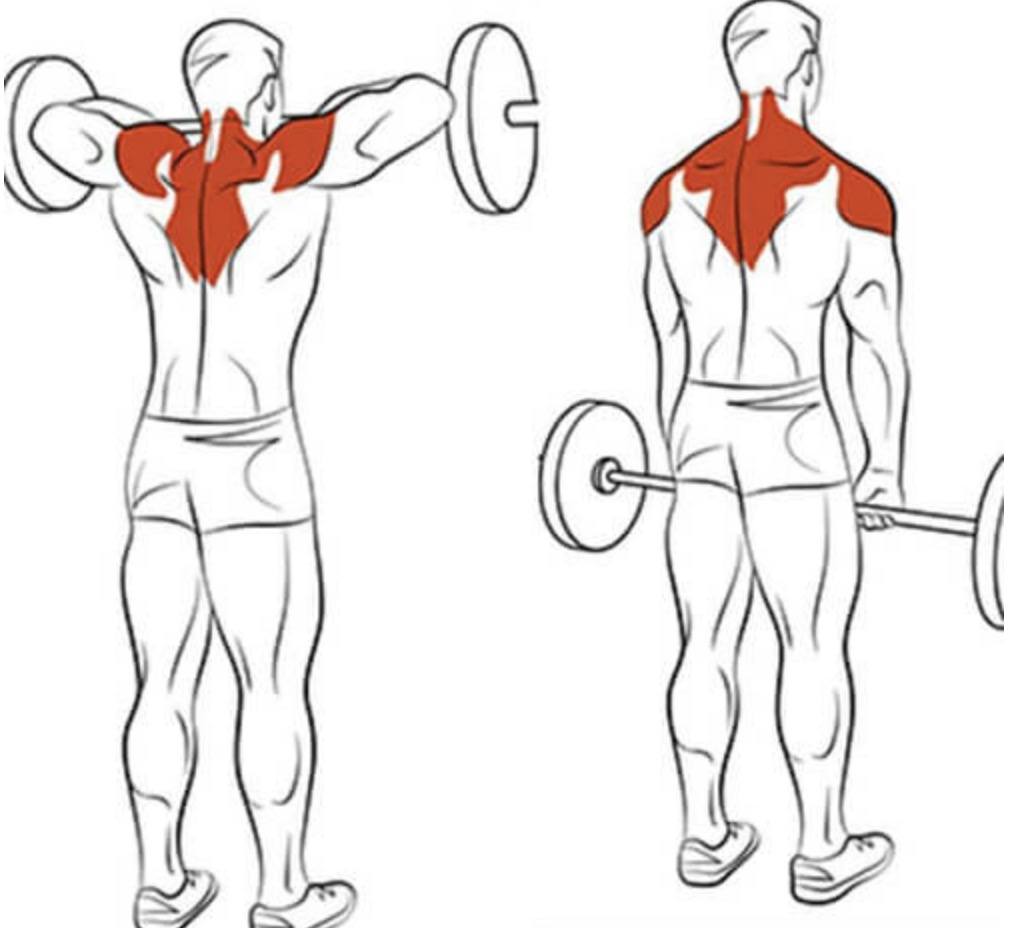 How to Fix Rounded Shoulders - 3 Easy Exercises - Precision Movement