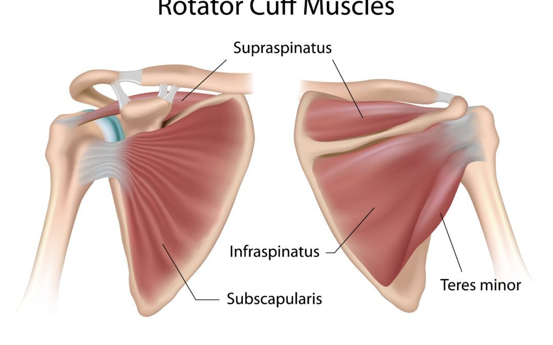 How to Fix Rounded Shoulders
