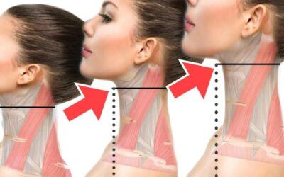 How the Jaw and Neck are Connected