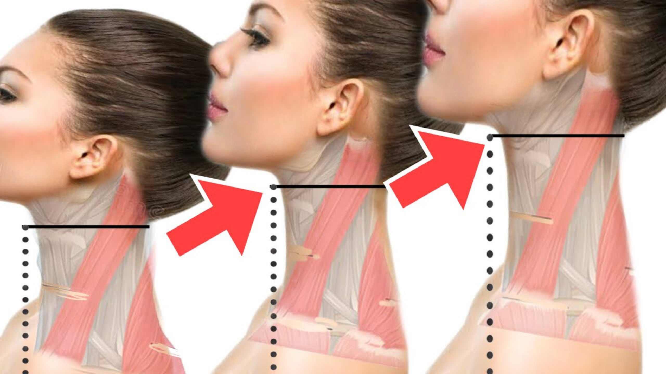 jaw and neck are connected