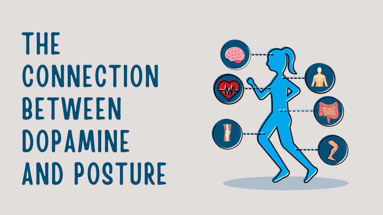 the-connection-between-dopamine-and-posture