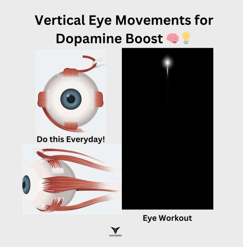 Vertical eye movements</p>
<p>