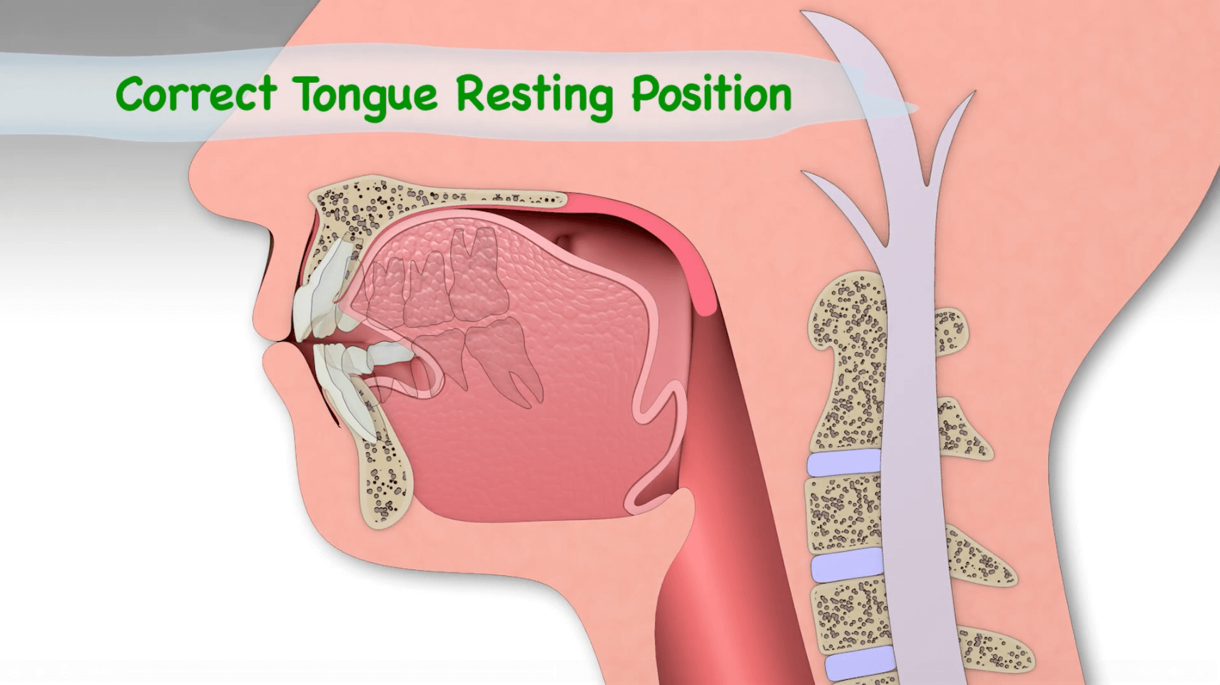 Correct Tongue Position